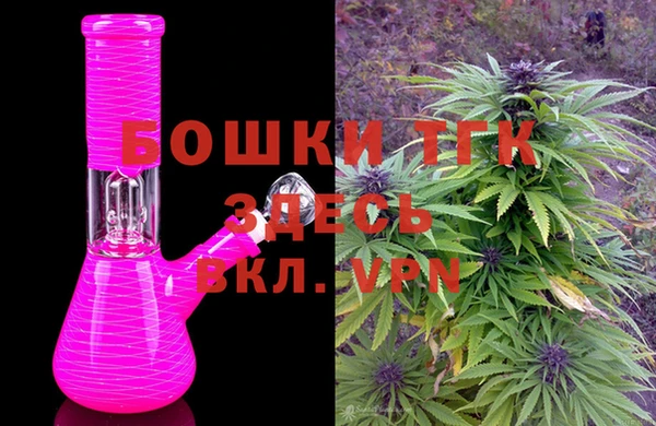 мдпв Михайлов