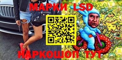 молекула духа Гатчина