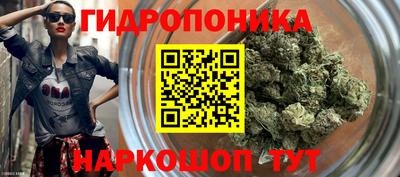 гашик Гагарин