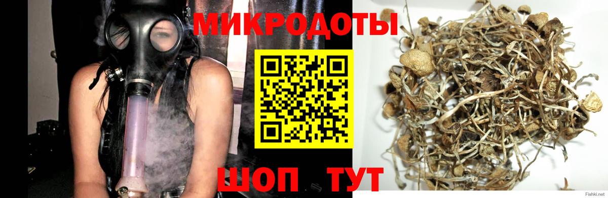 Псилоцибиновые грибы Psilocybe  Вход с VPN  Мыски  Галлюциногенные грибы Magic Shrooms 