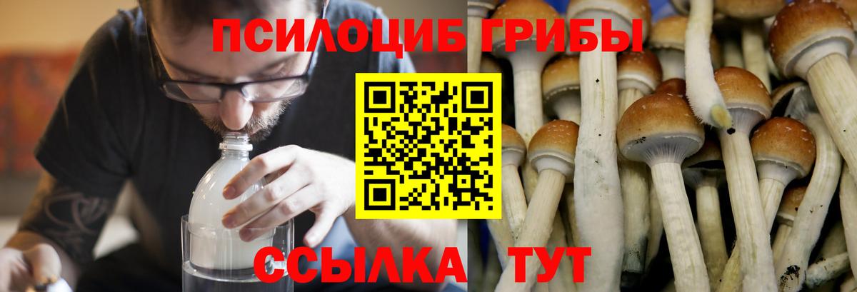 Псилоцибиновые грибы MAGIC MUSHROOMS Мыски
