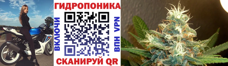 Канабис Bruce Banner  Мыски 