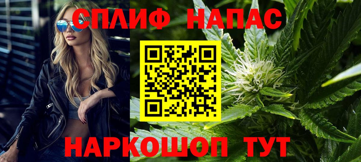 Каннабис конопля Мыски